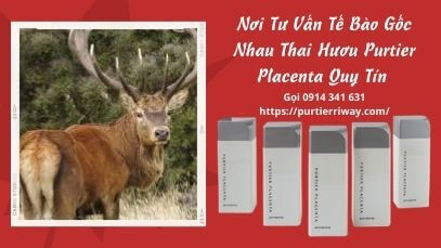 Tế Bào Gốc Nhau Thai Hươu Purtier Placenta Có Tác Dụng Gì ?