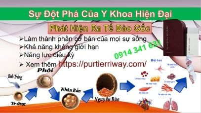 Sự Đột Phá Của Y Khoa Phát Hiện Ra Tế Bào Gốc